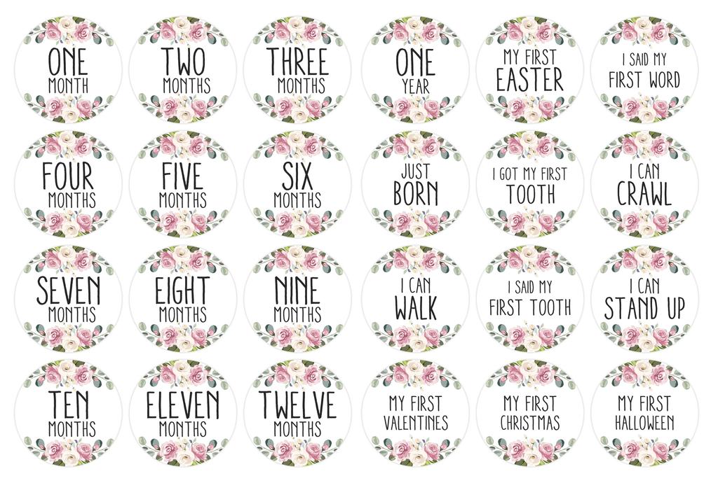 Inkdotpot 12 Month Baby  Milestone  Sticker  Boy Girl-Monthly  Milestone  Round  Stickers 24 Count