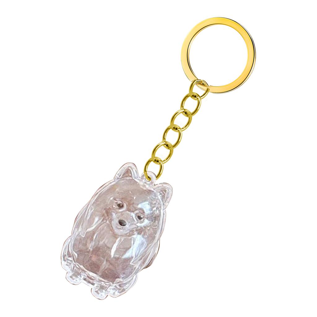 Transparent Pet Memorial Keychain Pet Hair Bottle For Preserving Dog Hair And Ashes In A Leakproof Keepsake Capsule