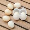 1PC Outdoor Portable Egg Carton Fall-Proof Storage Box Travel Shockproof Camping Breakproof Egg Tray Breakfast Coffee Tray Tray