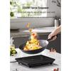 Supor 2200W Microcrystalline Panel Induction Cooker CN plug (adapter included)