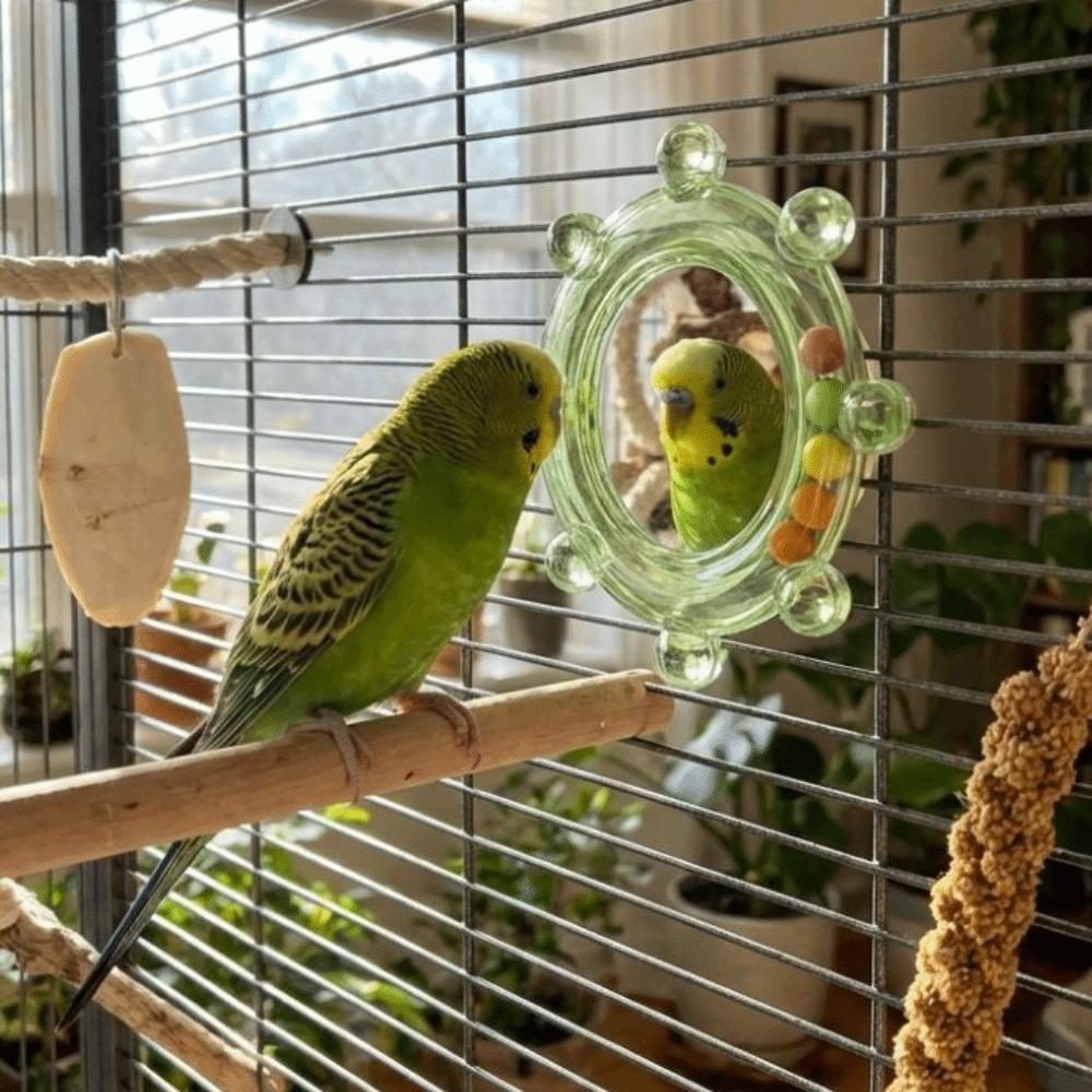Wear-Resisting Bird Mirror Perch Spinning Puzzle Bird Flying Saucers  Bird Supplies
