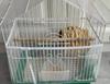 Nylon Mesh Bird Parrot Cage Guard Easy Cleaning Nylon Airy Fabric Birdcage Netting Cover Feather Feeding Anti-Splash Mesh cover