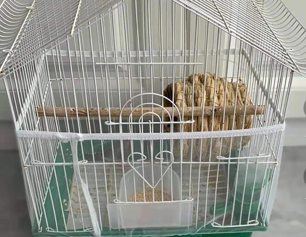 Nylon Mesh Bird Parrot Cage Guard Easy Cleaning Nylon Airy Fabric Birdcage Netting Cover Feather Feeding Anti-Splash Mesh cover