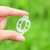 100/200/300Pcs Plant Support Clips Reusable Plant Binding Clip Tomato Trellis Clips for Vine Vegetables Grow Upright Healthier