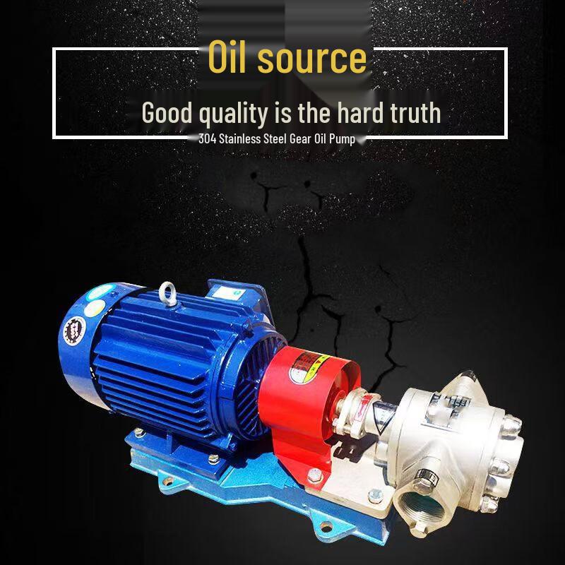 Jingrong 304 Stainless Steel Gear Oil Pump with Motor
