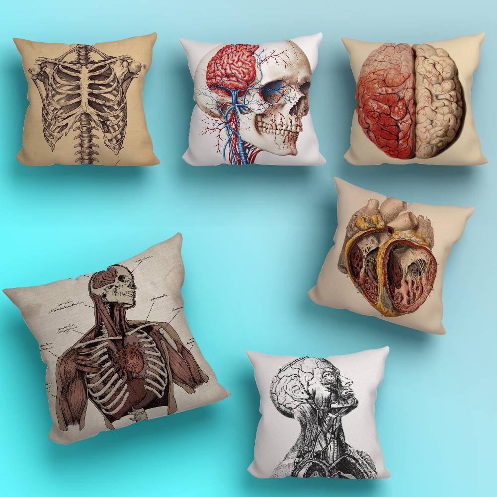 M-Medical Anatomy Art HumanS pillow cover living room sofa cushion cover bedroom room bed pillow cover home decoration