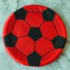 Outdoor Oxford Cloth Soft Frisbee Toy - Educational Sports Disc