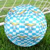 Lazio Football Club Emblem Size 5 Soccer Ball,Indoor/Outdoor Suitable for Training Matches Tournaments Practice Games Perfect Gift for Fan