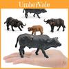 Pvc Solid African Water Buffalo Model With Realistic Design For Childrens Educational Toys