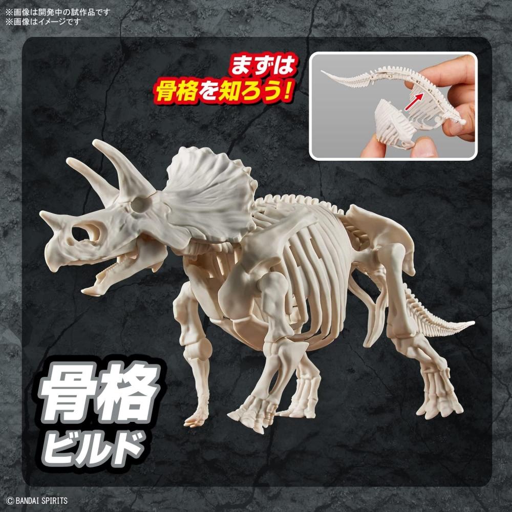 Bandai Spirits  Bandai Spirits  Planosaurus Triceratops Farblich gekennzeichneter Kunststoffmodellbausatz
