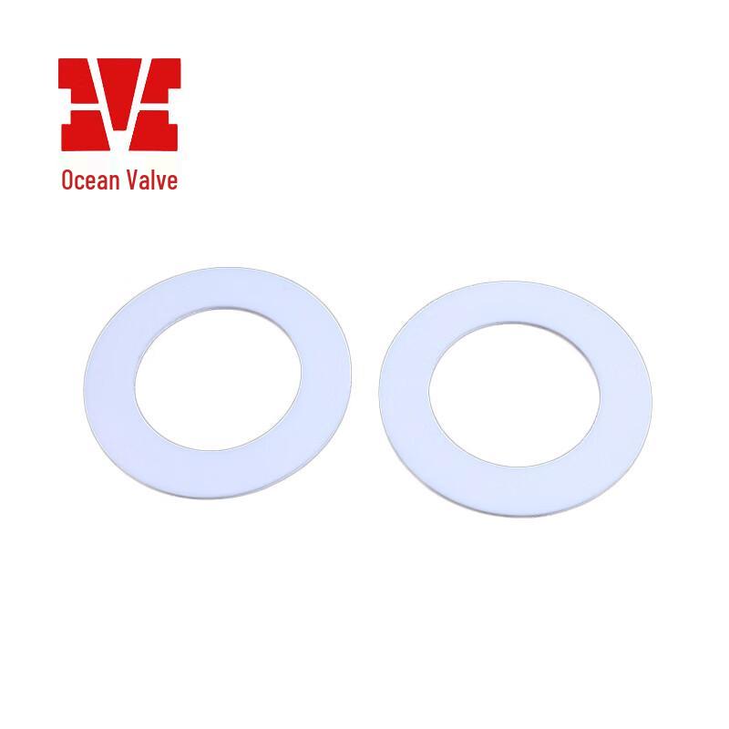 Jiangsu Yuanyang PTFE Corrosion-Resistant Gaskets DN40