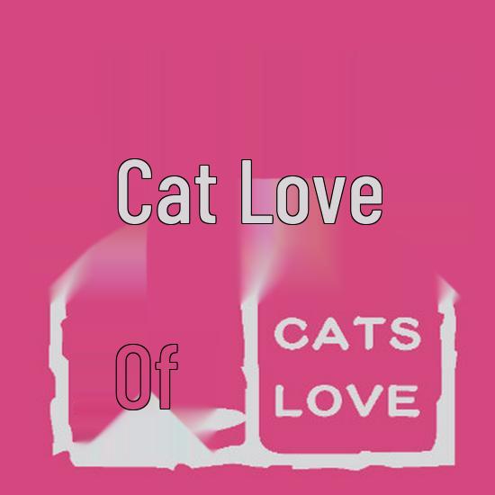 

Cat s Love offers plush toys, teddy bears, and custom rag dolls made from your pictures or samples. Refer to Specific Sample