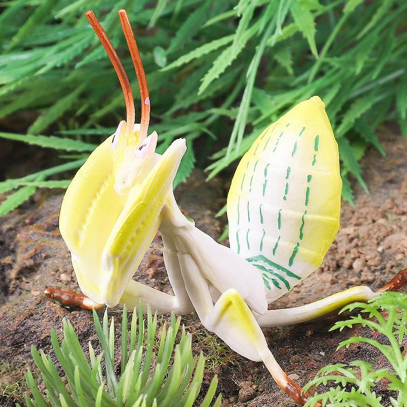 Plastik-Schmetterlingsmodell für Bildungsdekoration und Sammlung