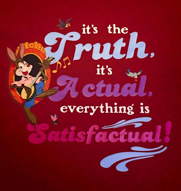 Disney World Splash Mountain Brer Rabbit Medium T-Shirt custom men women retro XL