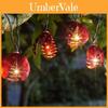 Iluminare – Ghirlande și lumini decorative