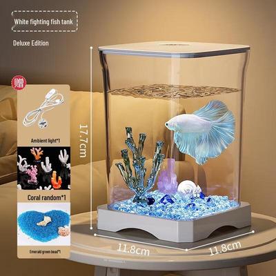 Peces y mascotas acuáticas – Peceras