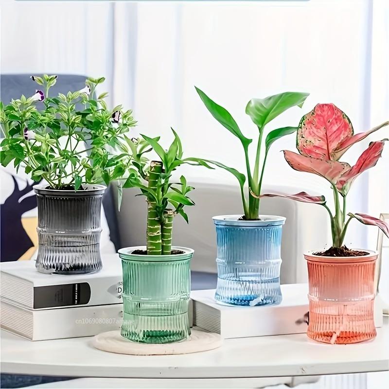Self Watering Flowerpot Automatic Water Absorbing Flowerpot Double Layer Transparent Plastic Succulent Plant Pot Decorative Pot