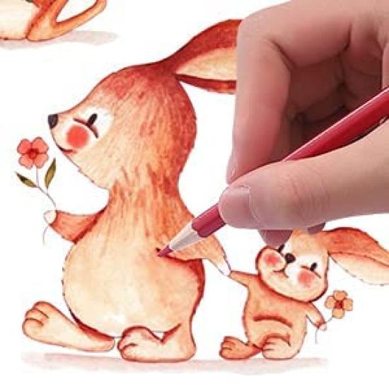 Erasable Colored 72 Art Supplies Color Adult Coloring Art Storage Case Included Pencils, Colors, Oil-Based, Set, Pencils, Pens, Books, Drawing,