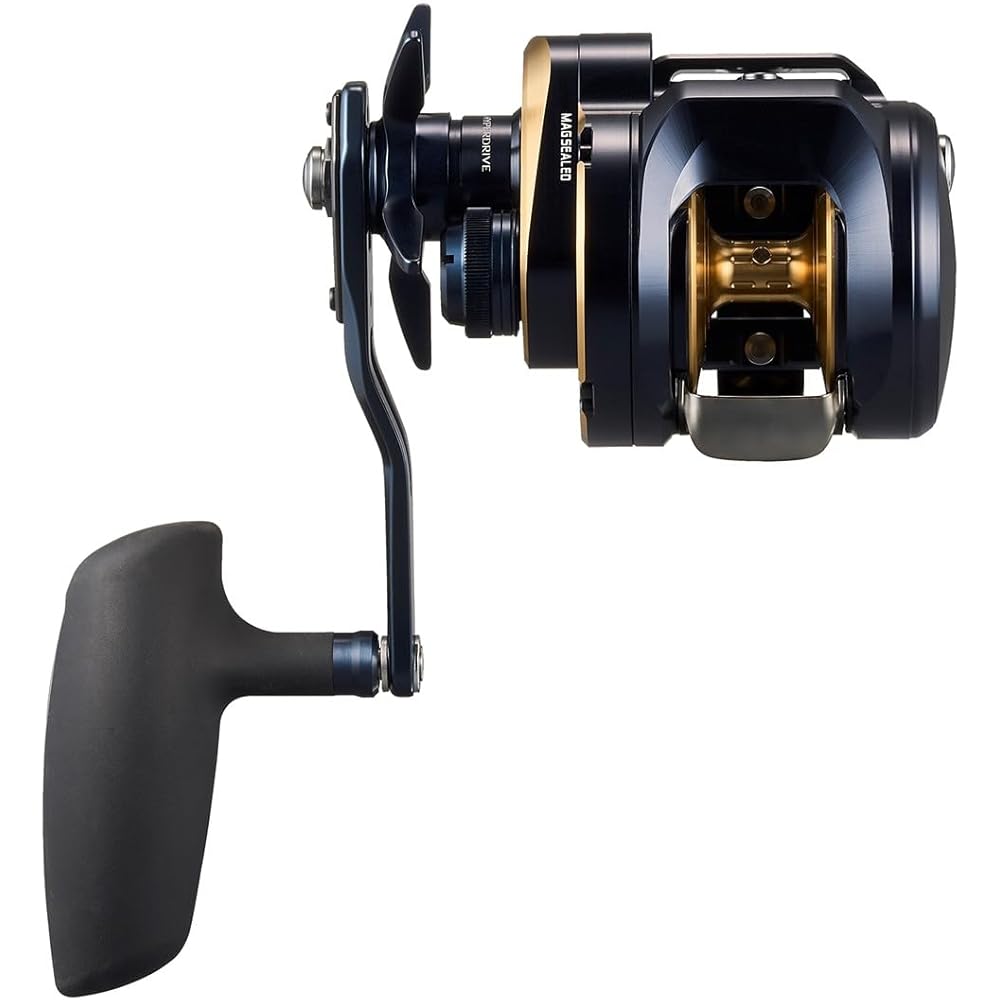 Daiwa (DAIWA) jigging bait reel SALTIGA (Saltiga) 300HL