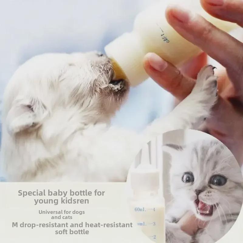 Set hrănire nou-născut: Biberon cu tetină moale pentru pisoi și căței