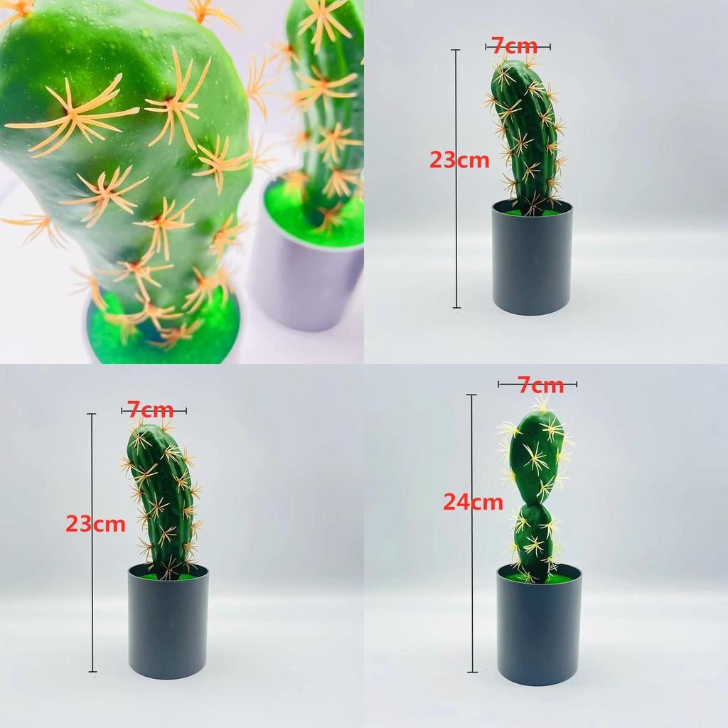 Plastic Plant Bonsai For Desk Shelf Or Gift Presentation