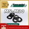 Wave Washer - 12.9 Grade 65Mn Manganese, Black Zinc Plated GB/T 955 for Mechanical and Electronic Use