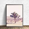 Joshua Tree Cactus Photography Art Canvas Poster Painting Arizona South Western Desert Wall Picture Print Home Room Decoration