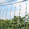 Bird Scarecrow Wind Spiral - 12 Pieces Bird Repellent Reflective Rotating Repellers In 6 Colors (30CM)