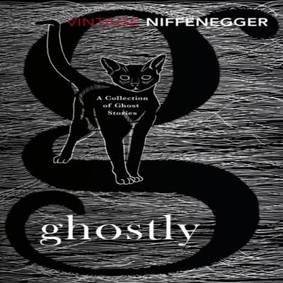 Ghostly by Audrey Niffenegger Paperback Book 9781784870072