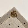 1Pc Natural Stone Crab‑Shaped Pendant 23×26mm, Golden‑Plated Animal Gemstone Charm for DIY Necklace Jewelry Making