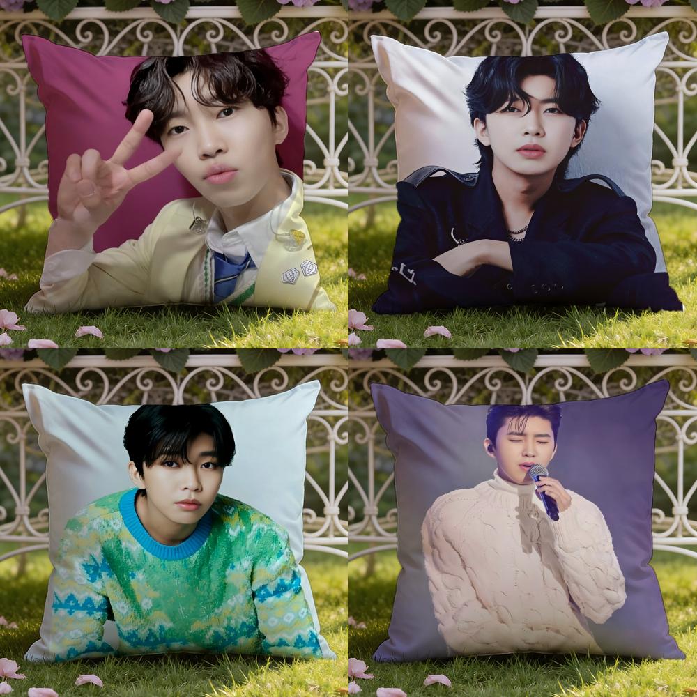 L-Lim Young W-Woong Cushion Cover Home & Car Dual-Scene Pillow Cover: Reversible for Premium Comfort