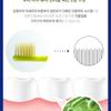 Kung Fu Panda Figure Kids Children's Soft Bristles Toothbrush+Magnet Holder Set
