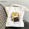 Fullmetal Alchemist Einkaufstasche Bolso Jutetasche Shopper Shopper Canvas Tasche Sac Cabas Stoff faltbare Taschen wiederverwendbare Cabas