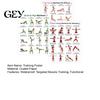 Quick Start Fitness Guide 3Pcs Women's Workout Poster Set, Strength Training for Arms Legs Targeted Muscle Hips, Exercise Chart Home Gym, Wall