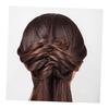 Creative U-Shaped Acetate Hairpins, Hair Sticks for Updos, Hair Accessories for Parties and Daily Wear, 2 Pieces