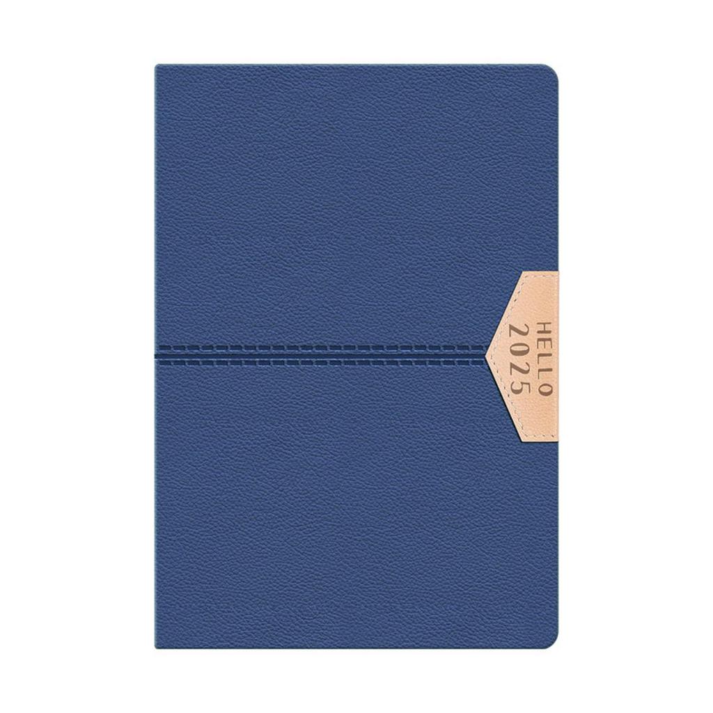 A5 Leather 2025 Business Schedule, Student Daily Planner, 365-day Record Book, Notepad, Memo, 200 Sheets, 400 Pages