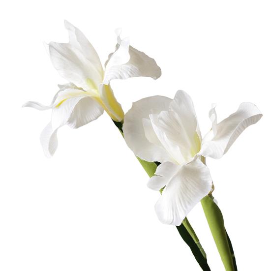 Artificial Iris Flower 2 Heads Faux Silk Flower Bouquet Long Stem Fake Iris Flowers for Floral Arrangements Table Centerpiece Party Wedding Decor