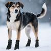4PCS Dog Boot Water Resistant Antiskid Paws Protecting Comfortable For Big Dogs Various Weather Walking Hiking