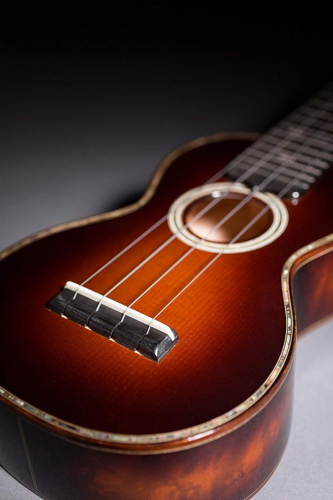 MARTIN M610 Ukulele Premium Polygut Concert Ukulele Strings