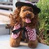 Dog clothes turned funny pet supplies cross-border hat cape set pet halloween costume