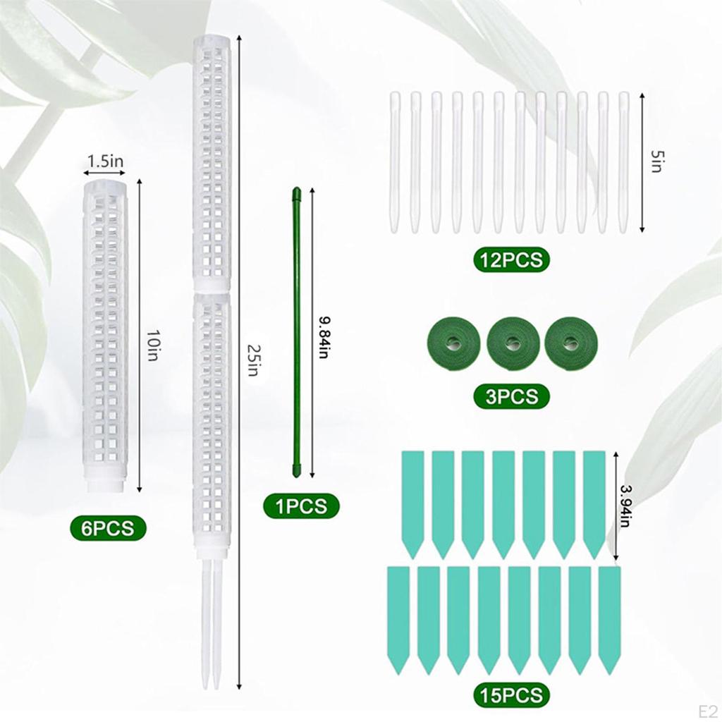 Poteaux en mousse pour plantes grimpantes, accessoires d'assemblage faciles, piquets renforcés pour plantes