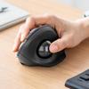 Periferice pentru calculatoare – Mouse-uri