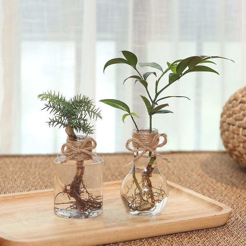 Transparenter Blumentopf Vase Hydrokulturbehälter Miniaturlandschaft Kunststoff Öko-Flasche Heimdekoration