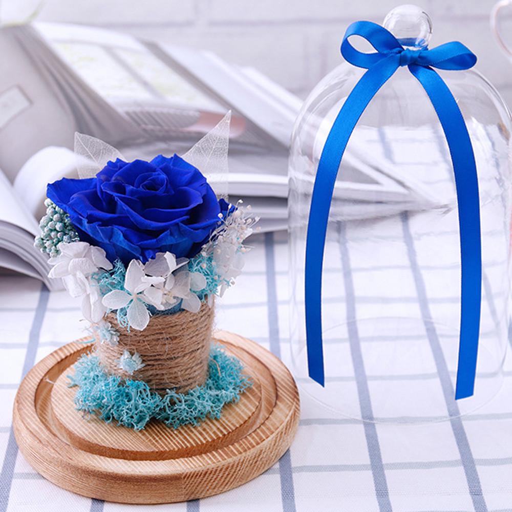 Konservierte Rosen Blume im Glas Geschenk Valentinstag Geburtstag