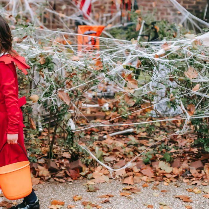 Halloween Spider Web - Ulisem - 200g - 30 Fake Spiders - Indoor/Outdoor Decoration