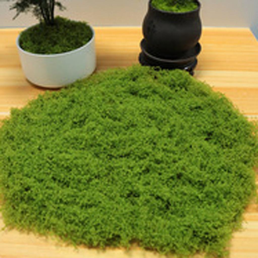 Simulation Moss Diy Artificial Moss Green Plant Decoration Landscaping Bonsai Pavement Silky Fake Moss