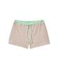Lense Stripe Micro Shorts Mint