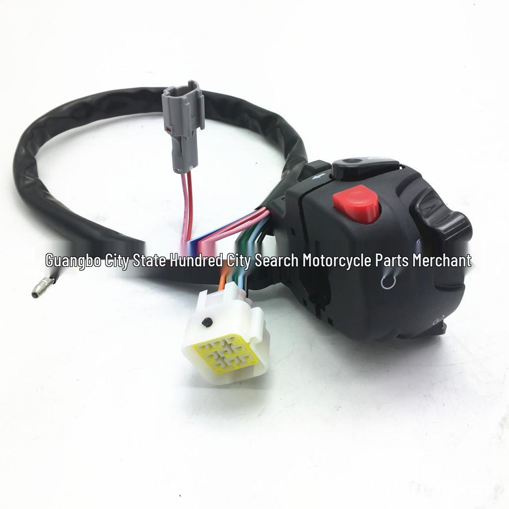 

Function Switch for Buyang 300CC ATV G300 D300: Motorcycle Accessories Universal for Motorcycle