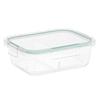 High Borosilicate Glass Divided Lunch Box