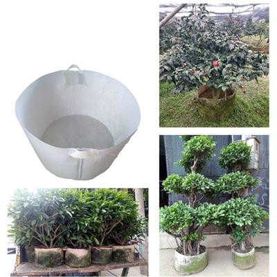 10Pieces Biodegradable Nursery Bag Non-Woven Fabric Degradable Planting Nursery Seedling Bags White Plant Nursery Bags